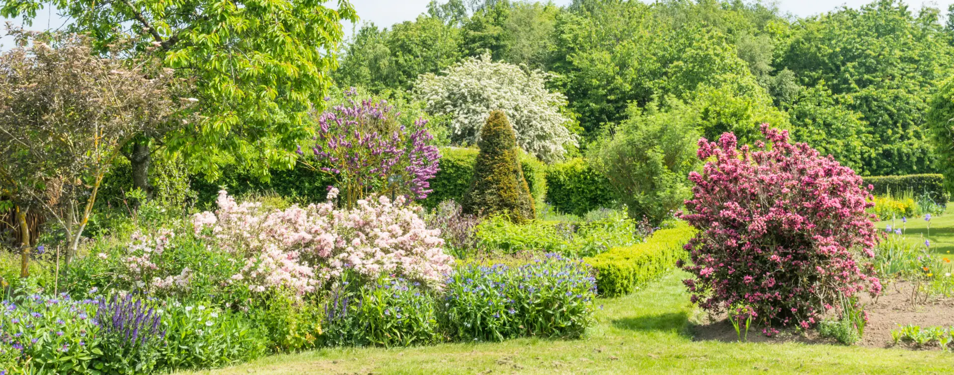 3. Entretien complet d’un espace vert pour particulier avec matériel adapté