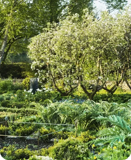 Taille de haie réalisée par un professionnel des espaces verts mobile
